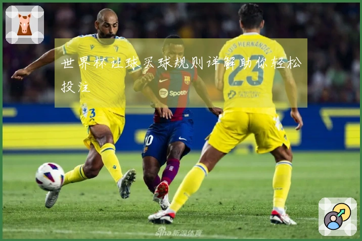 世界杯让球买球规则详解助你轻松投注