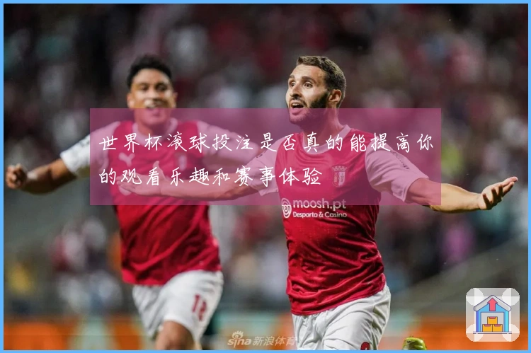世界杯滚球投注是否真的能提高你的观看乐趣和赛事体验