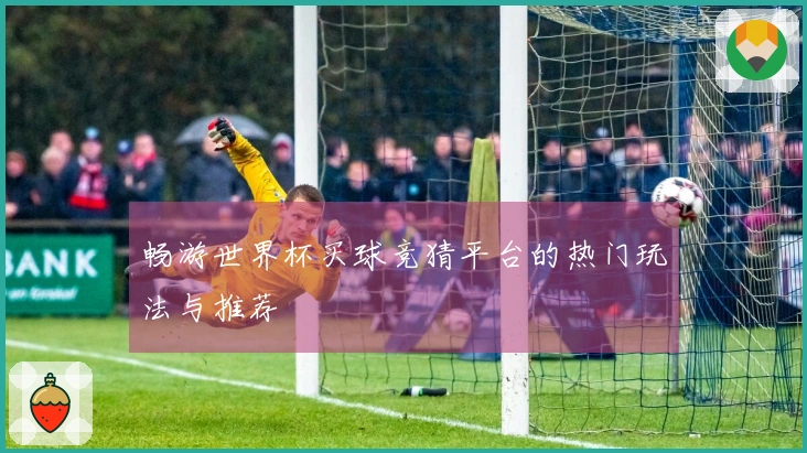 畅游世界杯买球竞猜平台的热门玩法与推荐